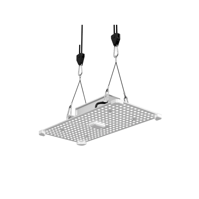 LUMii Black Blade LED, 100W, Wachstumsspektrum