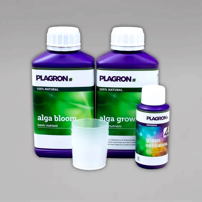 Plagron Easy Pack Natural