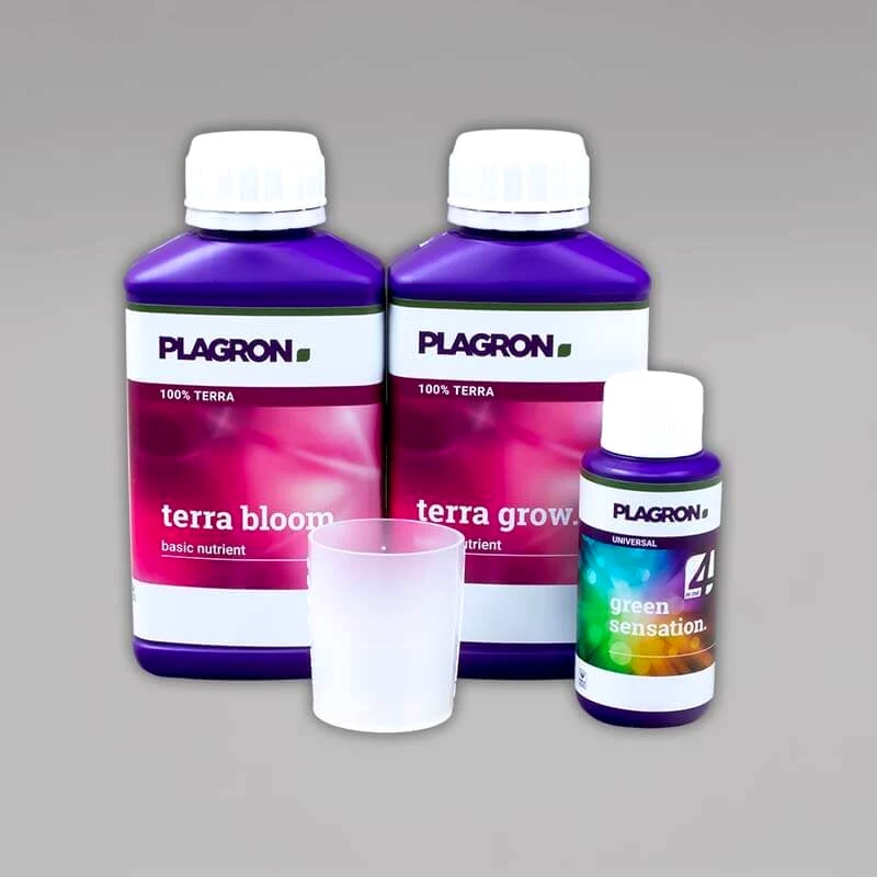 Plagron Easy Pack Terra