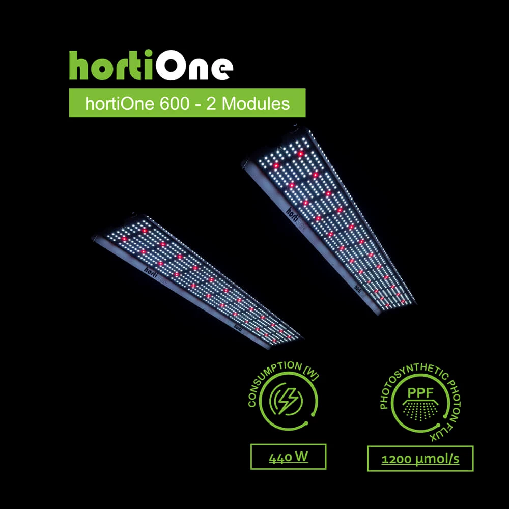 hortiONE V3 Professional LED Set, mit Bluetooth Dimmer, 3 x hortiONE 600 V3 LED